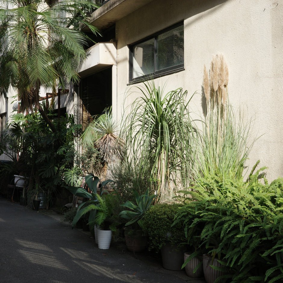 ROUTE BOTANICALSの営業について